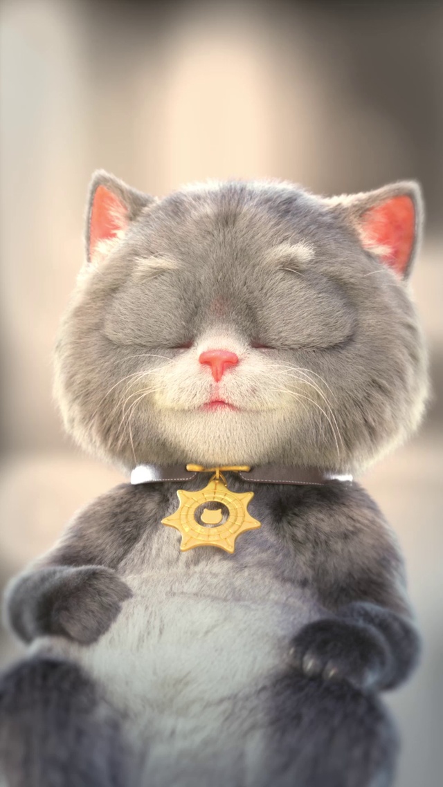 斑布猫-慵懒的小猫咪