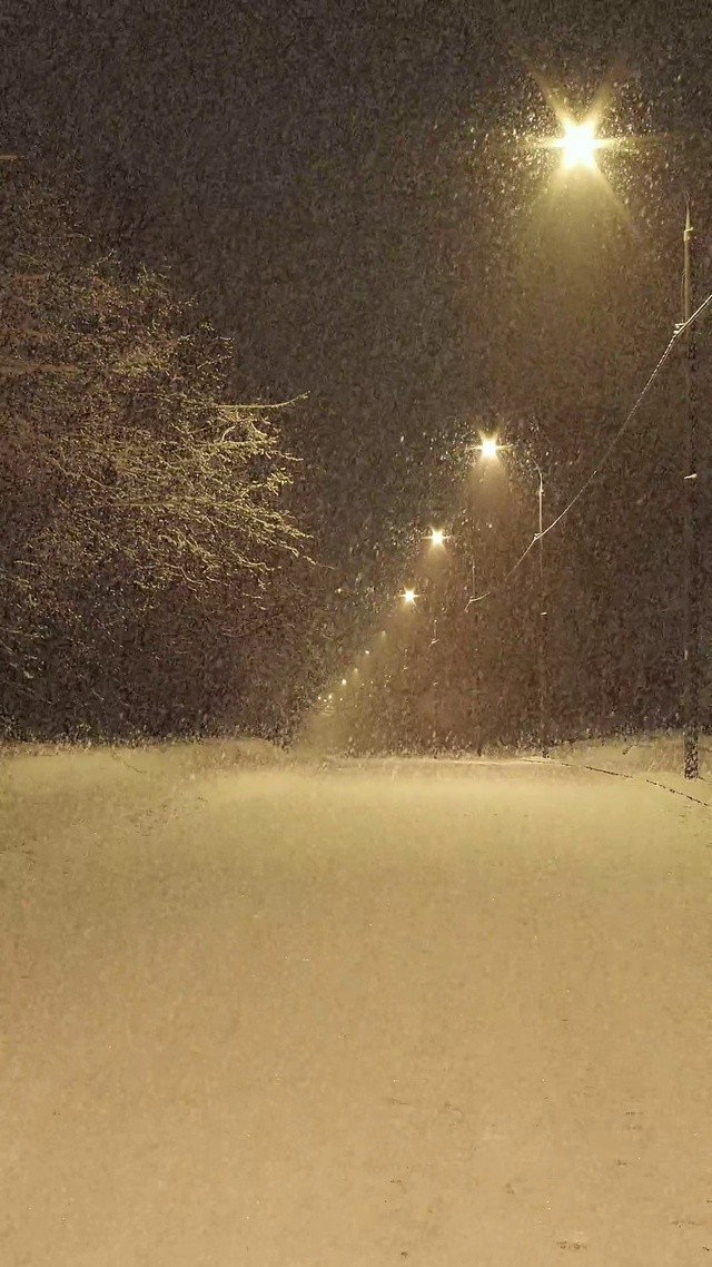 夜晚下雪壁纸