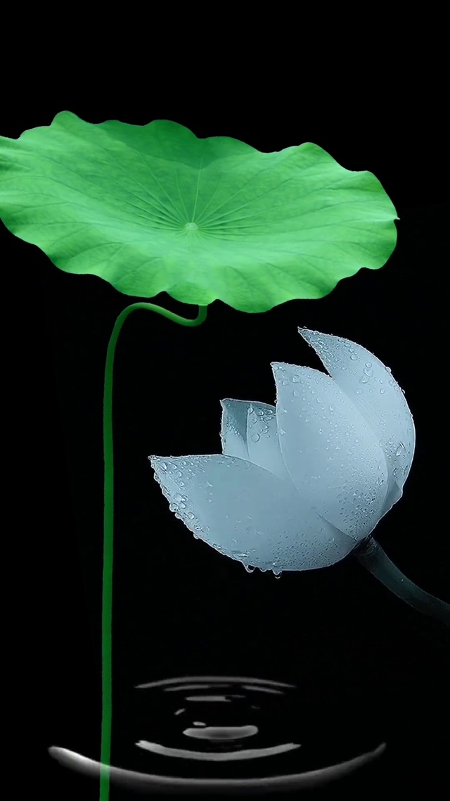 心静自然清