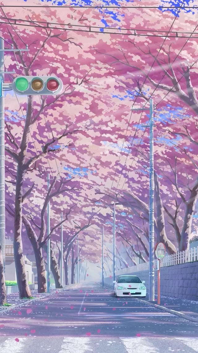 樱花公路
