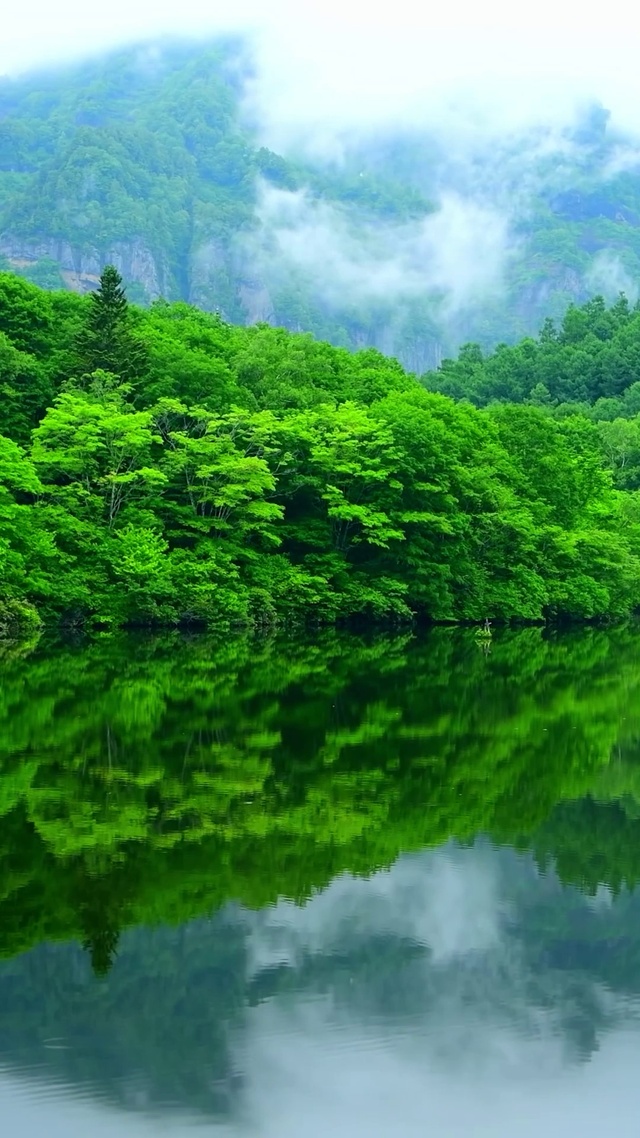 青山绿水云雾绕缭