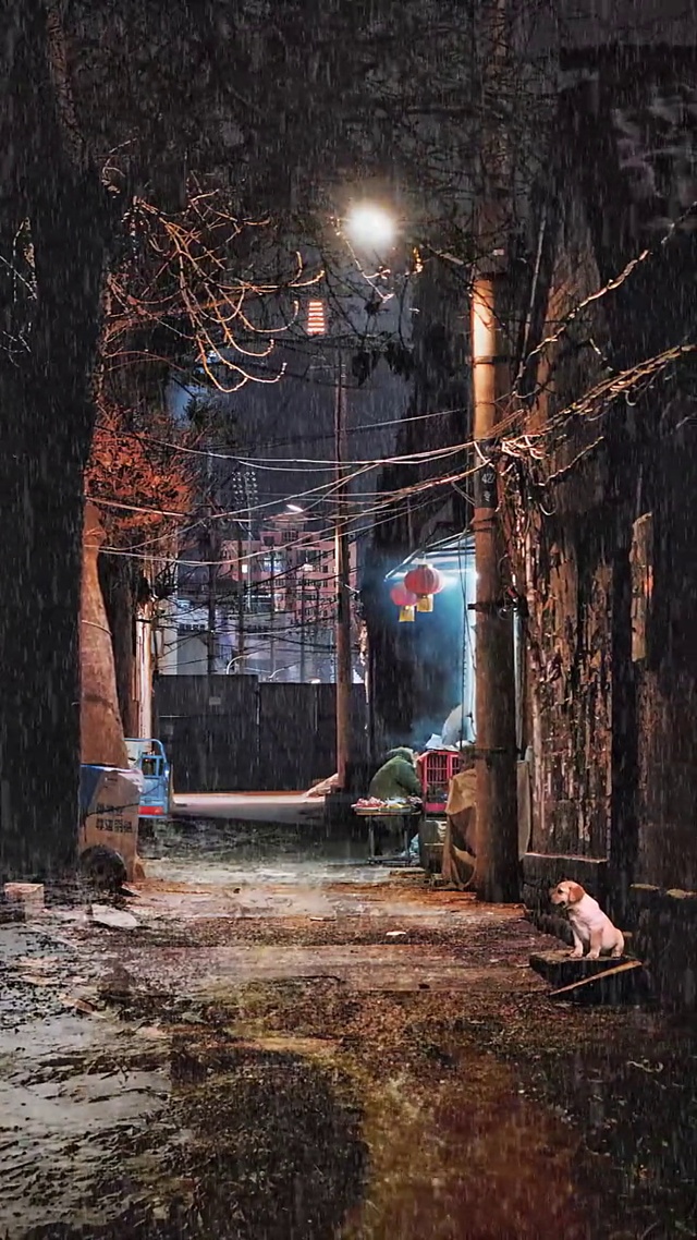 出门照顾好自己