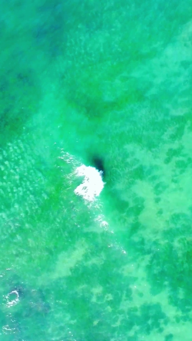 碧绿护眼海浪 4K