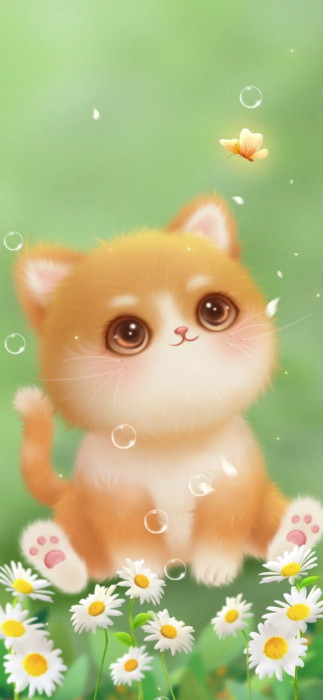 阳光下的小橘猫