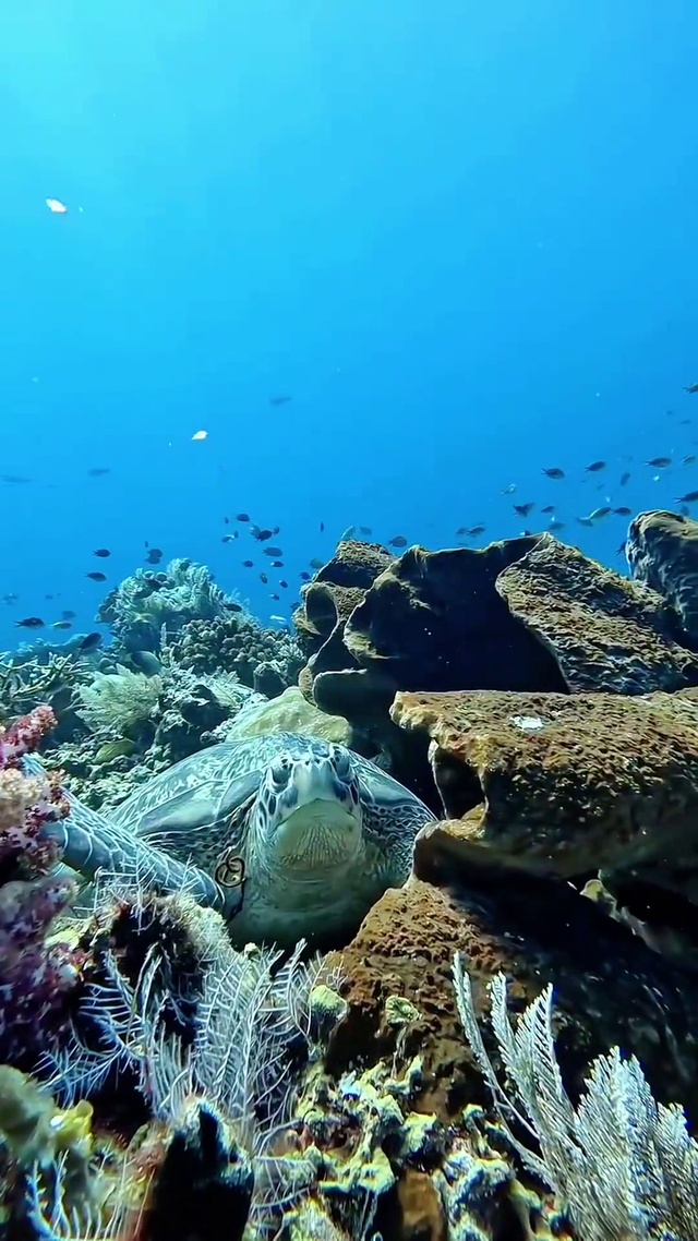 海底世界