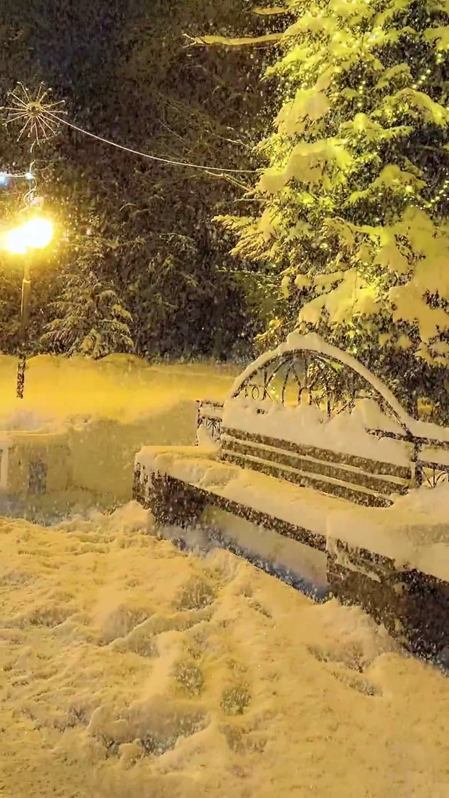 与其孤独不如赏雪听白狐