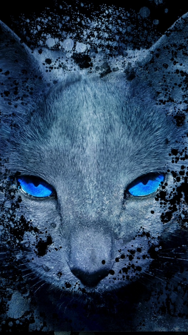 科技猫咪