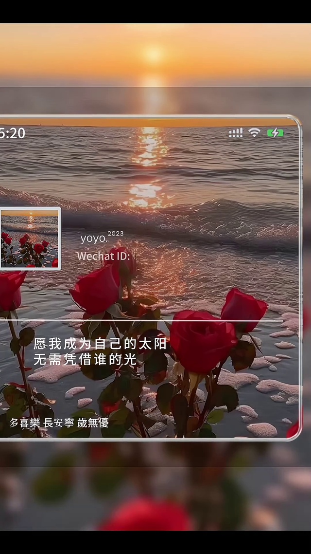 愿你成为自己的太阳，无需凭借谁的光