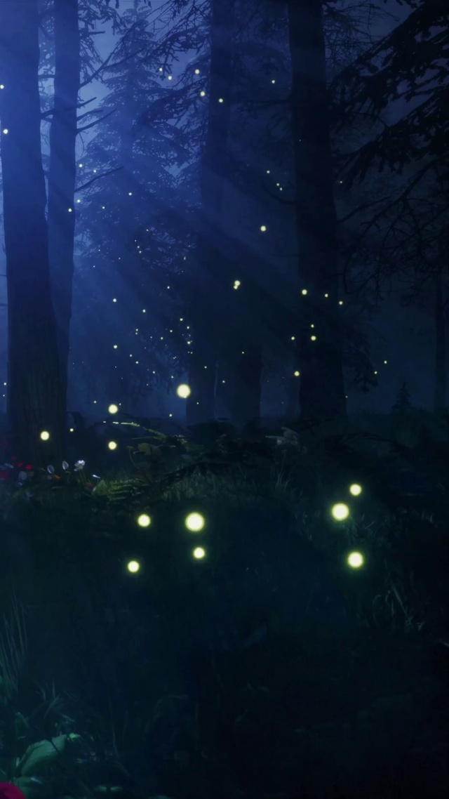 森林萤火虫
