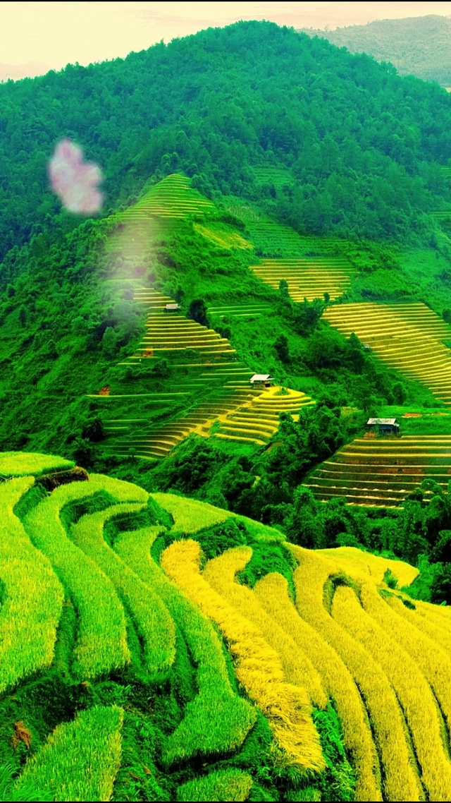 绿意盎然，生机勃勃