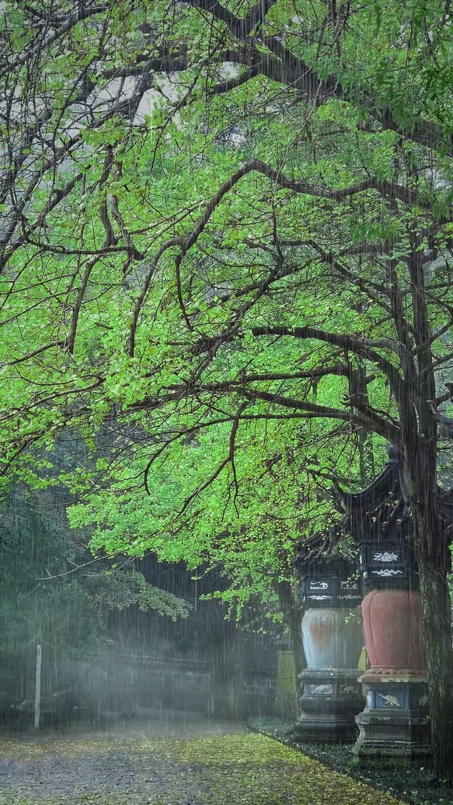 思念无果，大雨滂沱