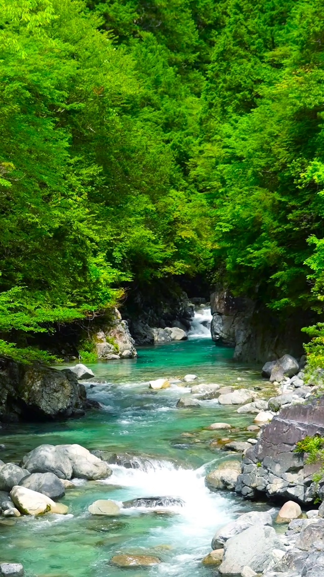 夏日绿林山涧