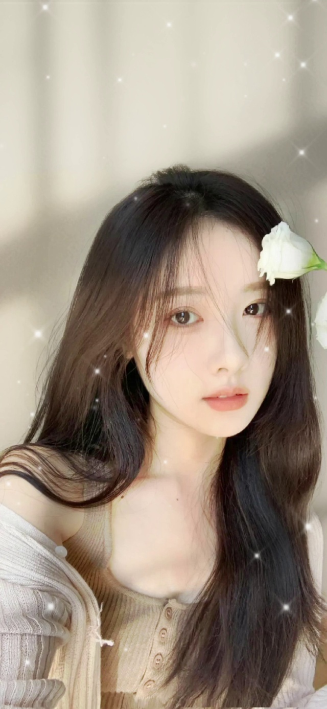 文艺女青年一枚