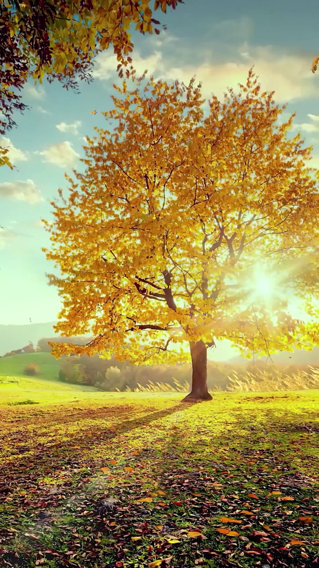 有些人失去才明白