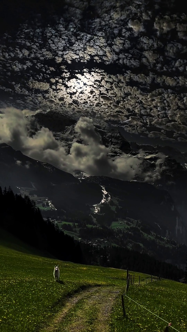高清夜景