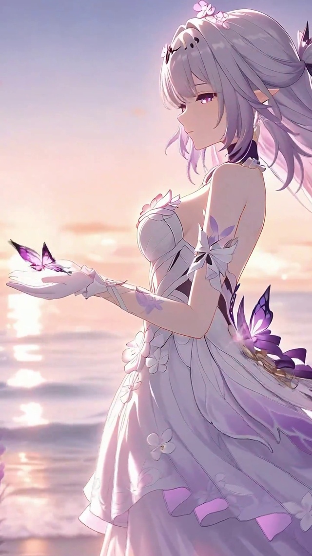 遐蝶丨踏浪寻蝶丨