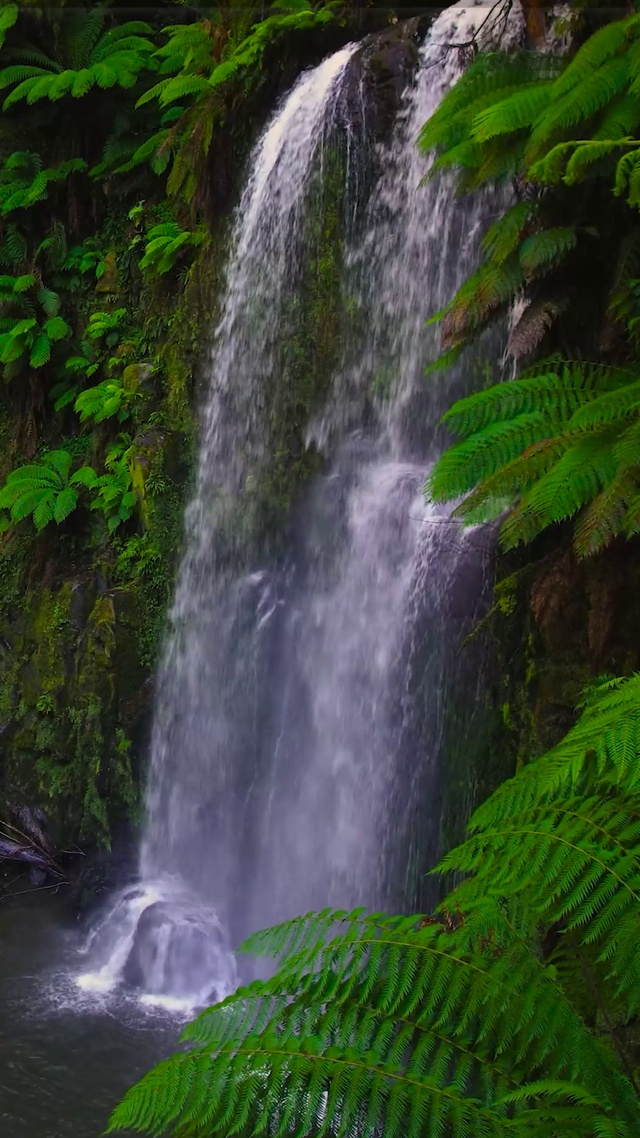4K夏日绿林山涧瀑布
