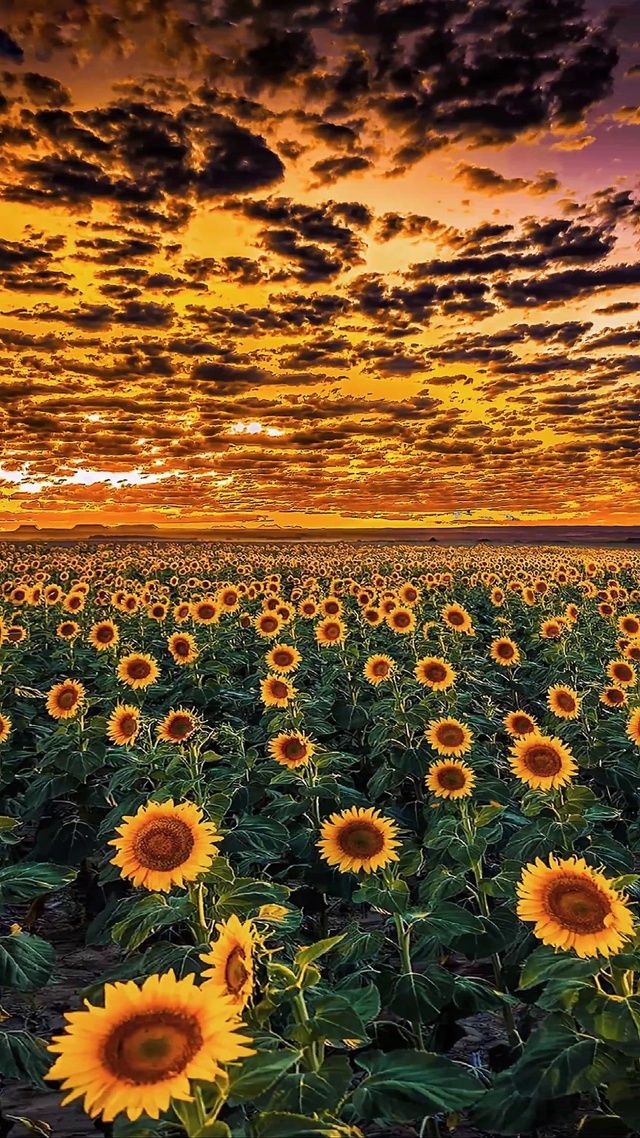 入目无他人，四下皆是你