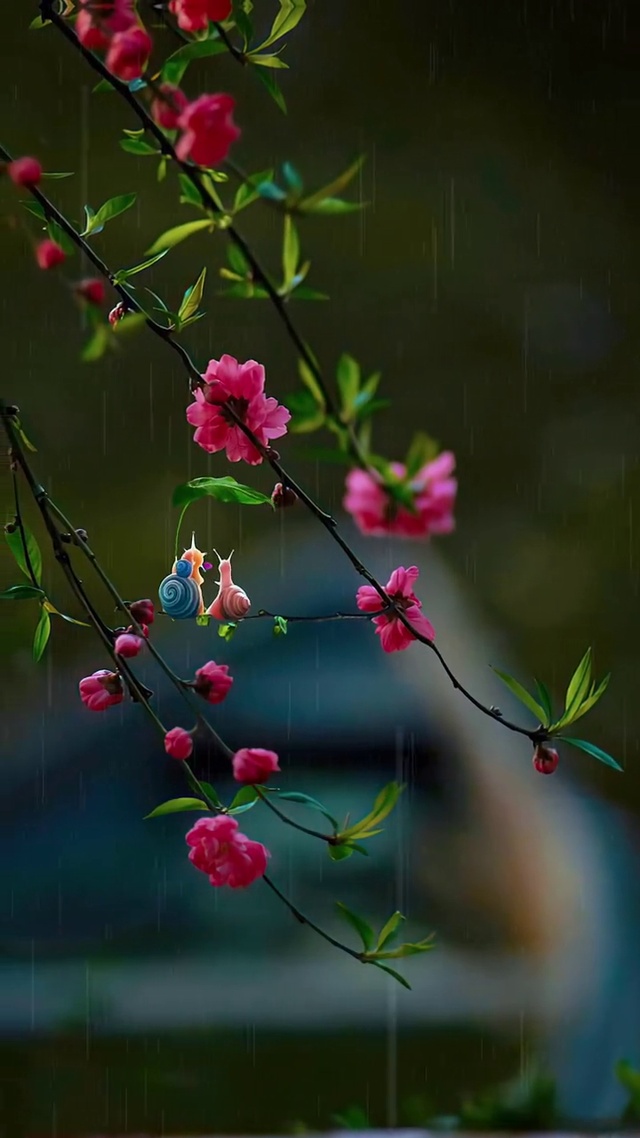 喜欢听雨