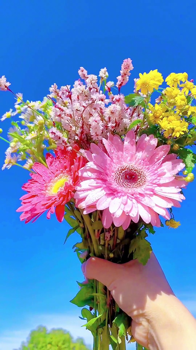 举一把春天的颜色，让它在风中摇曳。