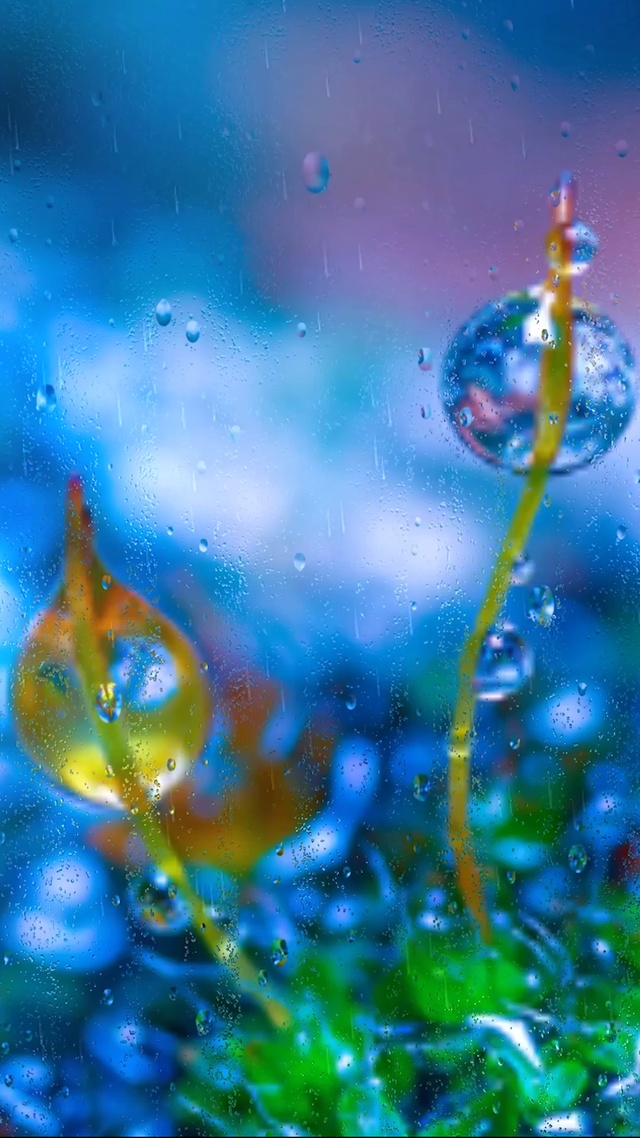 小清新护眼雨滴屏