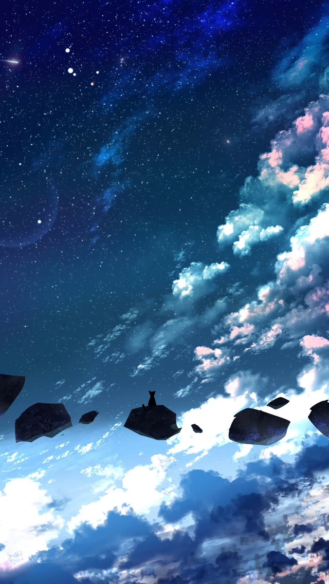 仰望星空的猫咪