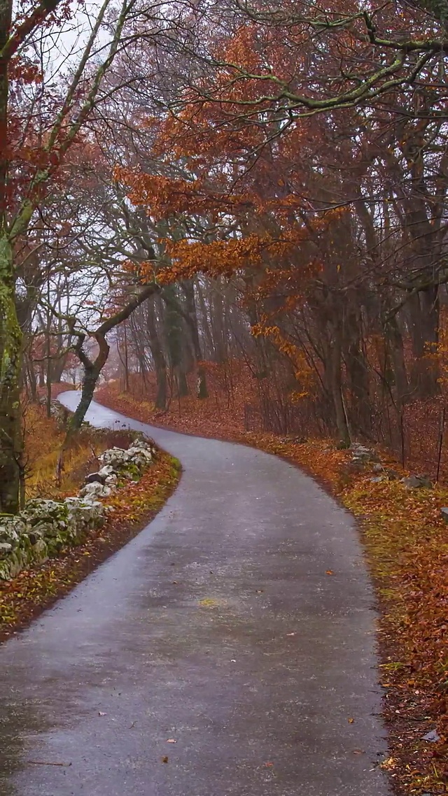下雨秋天意境壁纸