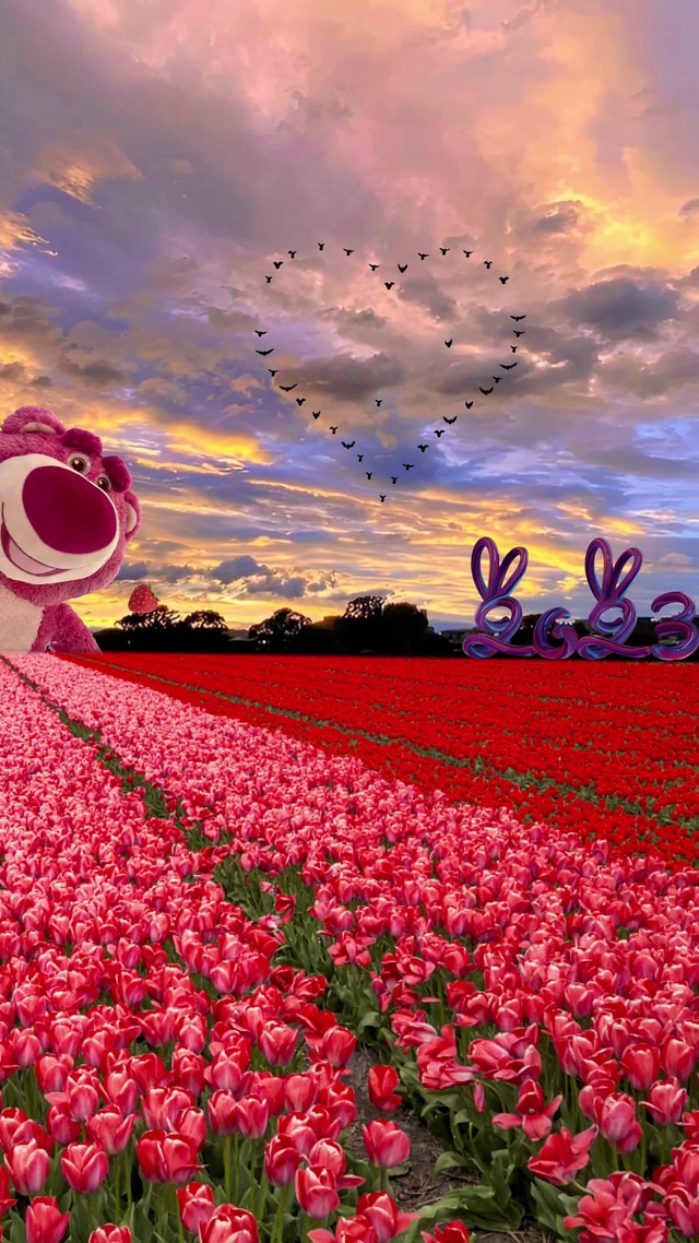 草莓熊  花海 爱心雁