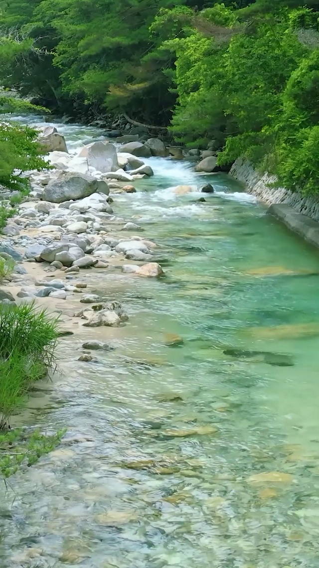 护眼绿林河流