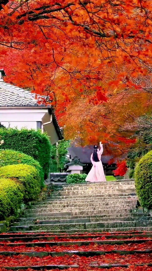 高清壁纸免费下载  只求一个小爱心