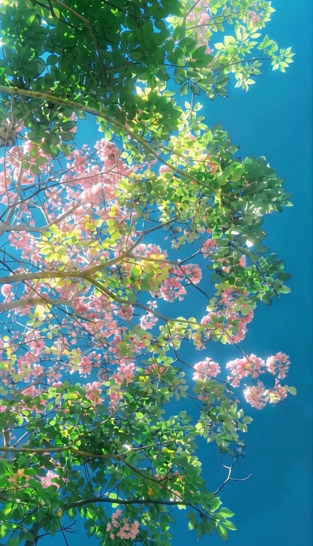 春日治愈风景