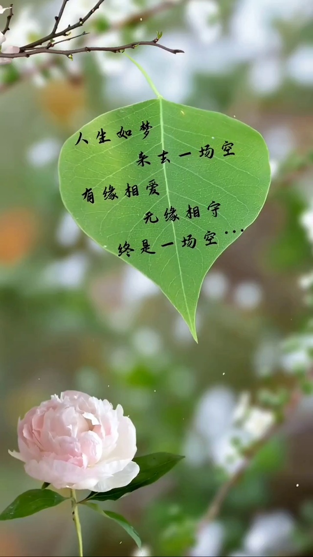 人生如梦 来去一场空