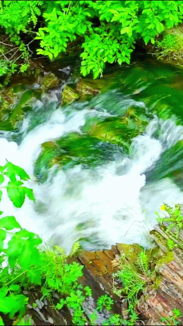 治愈护眼山间溪流 4K