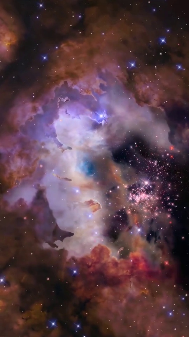 粒子宇宙转场超治愈