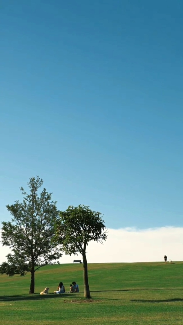 风景