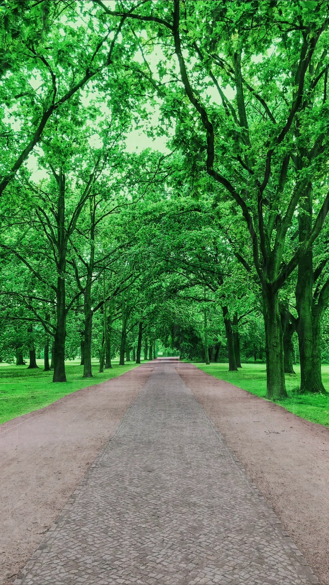 雨后大地，心旷神怡