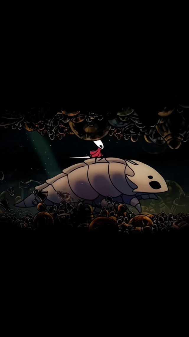 空洞骑士大黄蜂