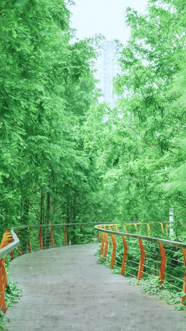 静听雨声，远离声嚣