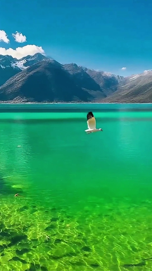 唯美雪山湖泊4K