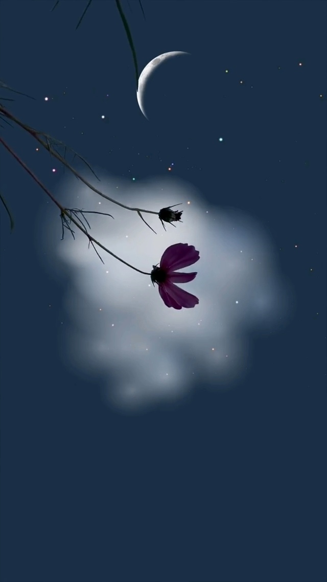 夜空中最亮的星