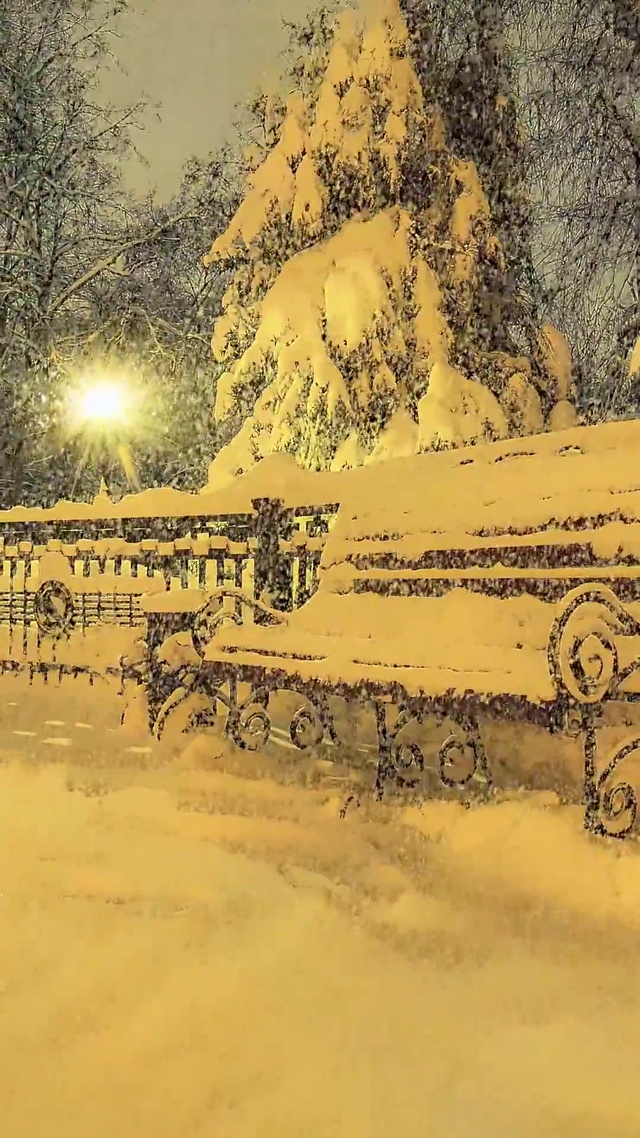 唯美公园雪景