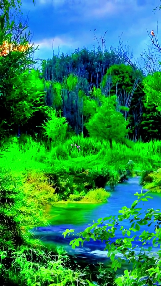 一起享受大自然的美