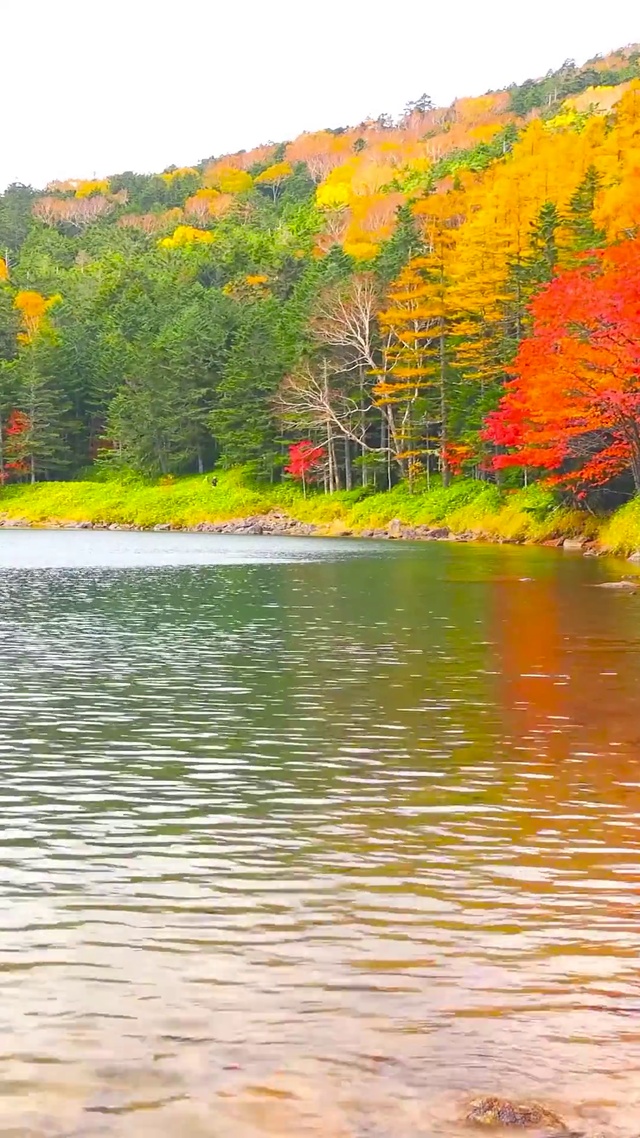 唯美红叶高山湖