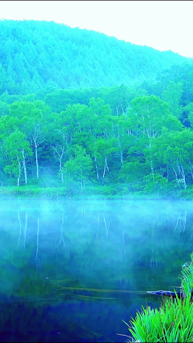唯美烟波江上 4K
