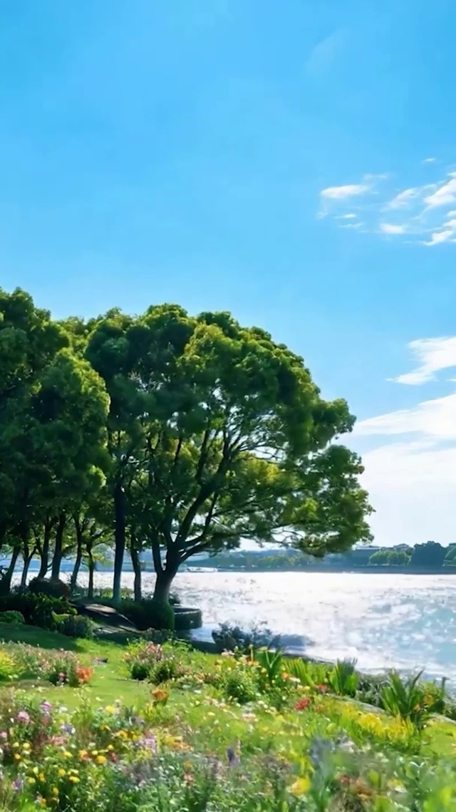 白云花草树木海景
