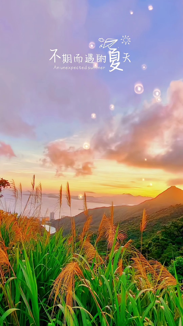 不期而遇的夏天