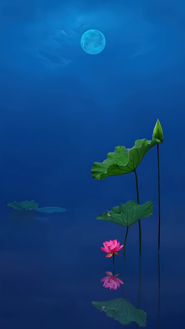 荷塘月色(风景手机动态壁纸) - 风景手机壁纸下载 - 元气壁纸
