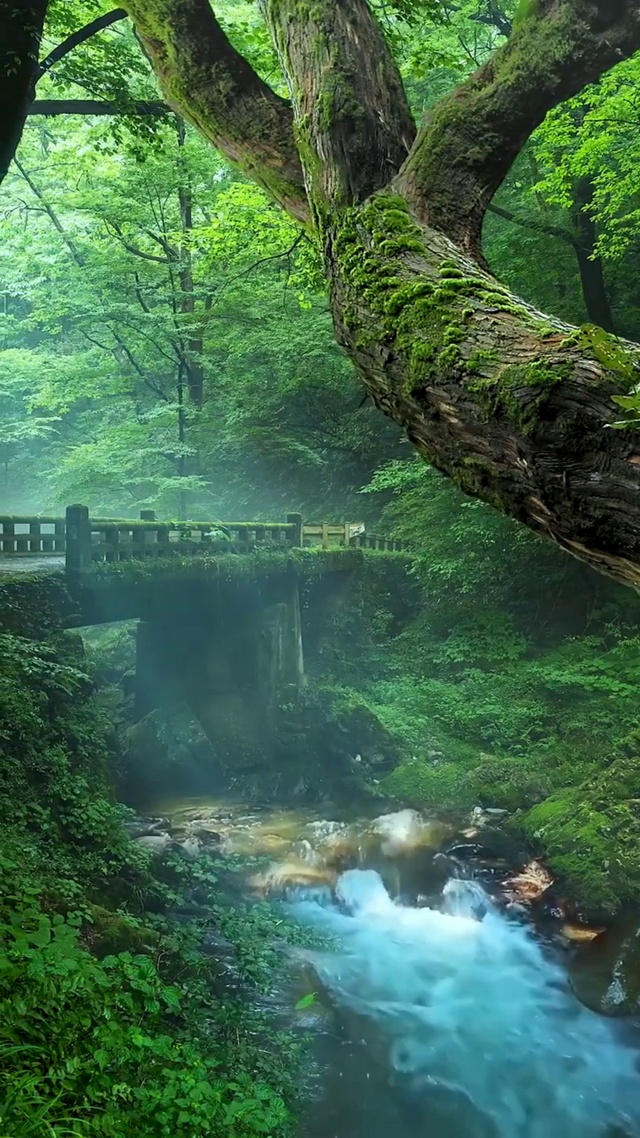 放下心中的浮躁