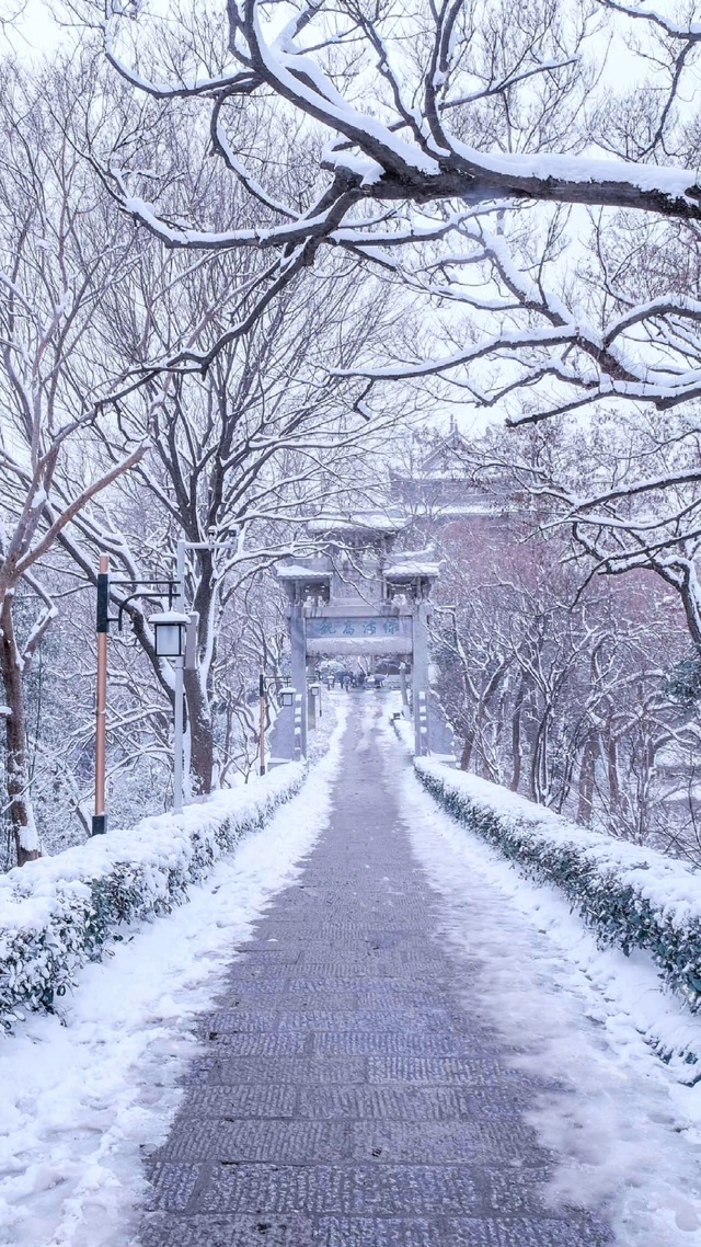 雪白雪白的(风景手机动态壁纸) - 风景手机壁纸下载 - 元气壁纸