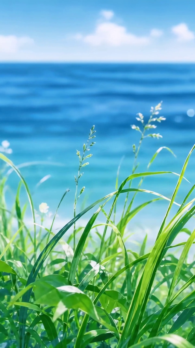 海边青草